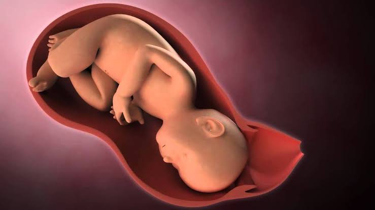 Pregnancy and maternity care